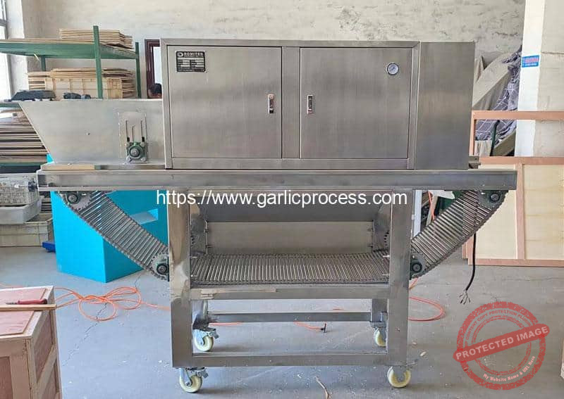 Romiter-Chain-Type-Garlic-Peeling-Machine-for-Italy